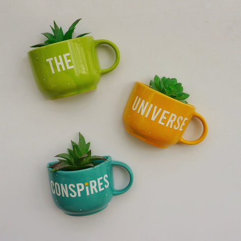 Cup Wall Planter - The Universe Conspires - Affirmations Decor - Thoughtful Gifts - Buy online India - Free Shipping